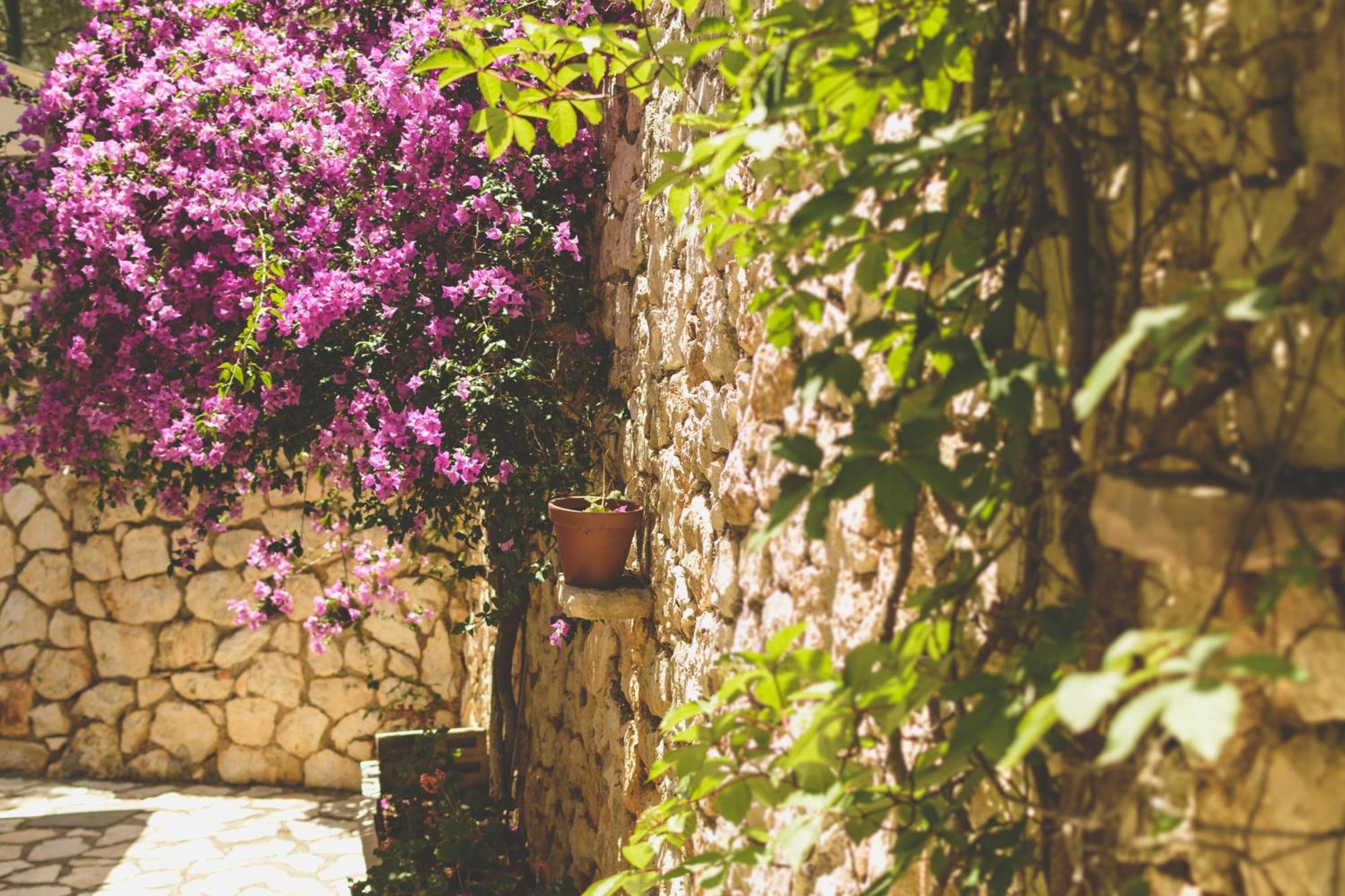 Althea Studios Lefkada Áyios Nikítas Room photo