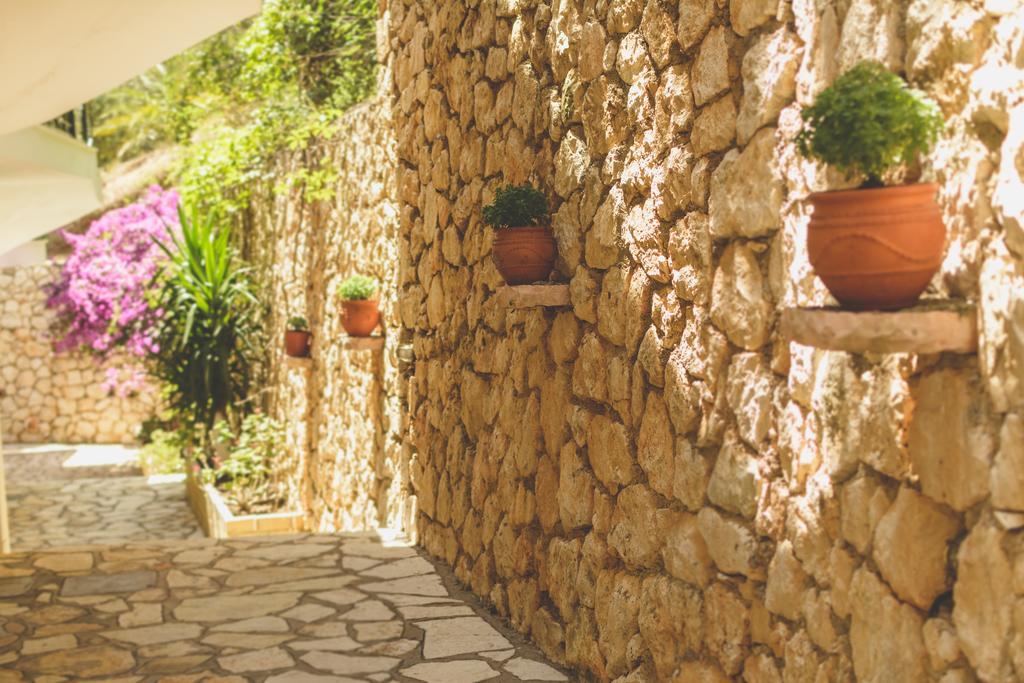 Althea Studios Lefkada Áyios Nikítas Room photo